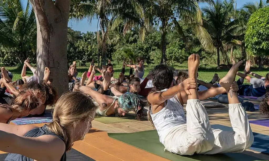 State of Yoga