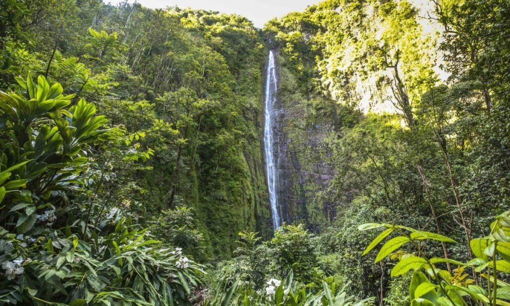 Waimoku Falls