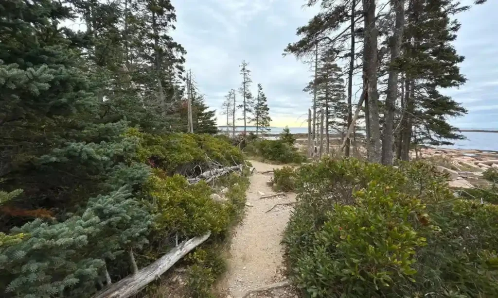 WonderlandTrail