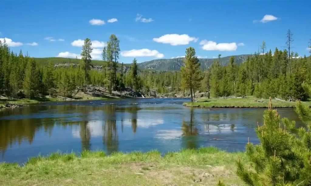 YellowstoneNationalPark